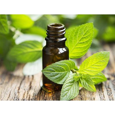Essential Oil Bottles Wholesale